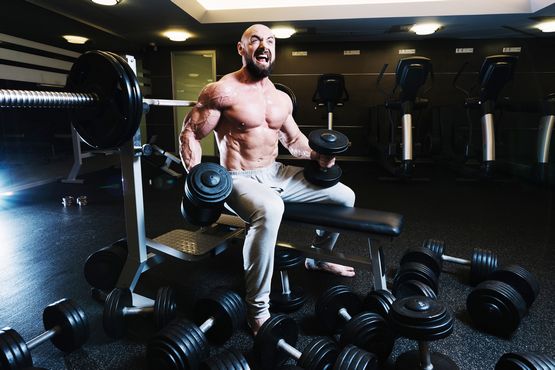 Testosteron Undecanoat Zyklus Testosteron Undecanoat Zyklus